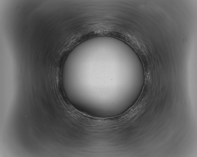 X0000116861012200912221134