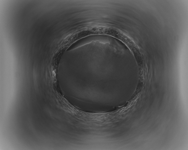 X0000116861013200912221134