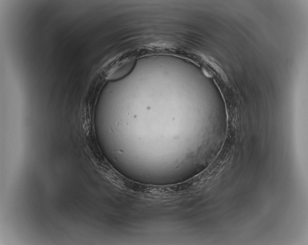 X0000116861015200912221134