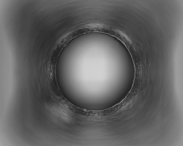 X0000116861016200912221134