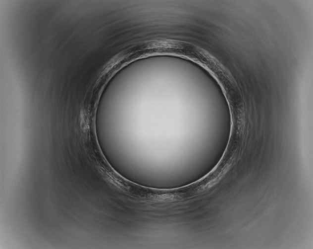 X0000116861017200912221134