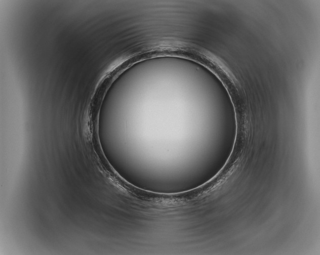 X0000116861018200912221134