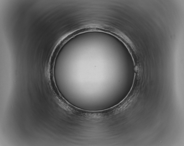 X0000116861020200912221134