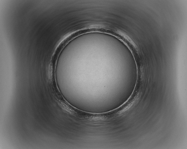 X0000116861021200912221134