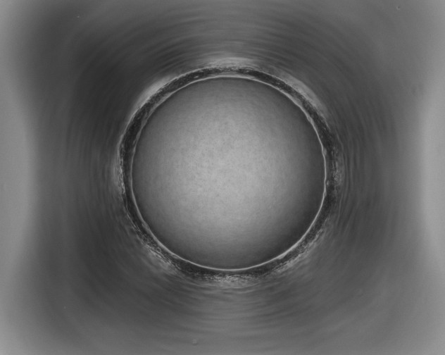 X0000116861022200912221134