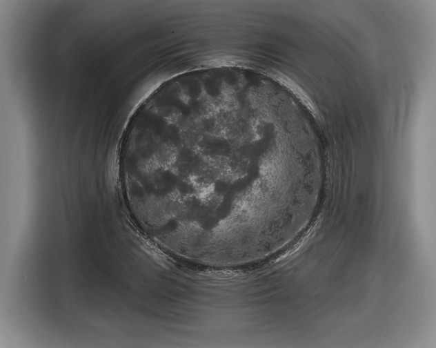 X0000116861023200912221134