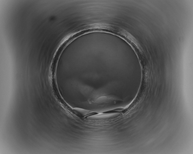 X0000116861024200912221134