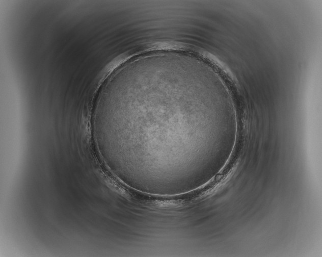 X0000116861025200912221134