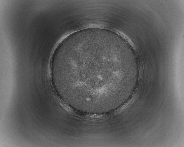 X0000116861027200912221134