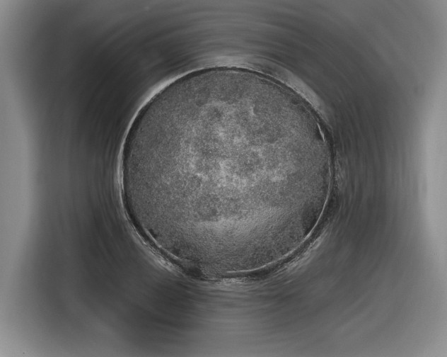 X0000116861028200912221134