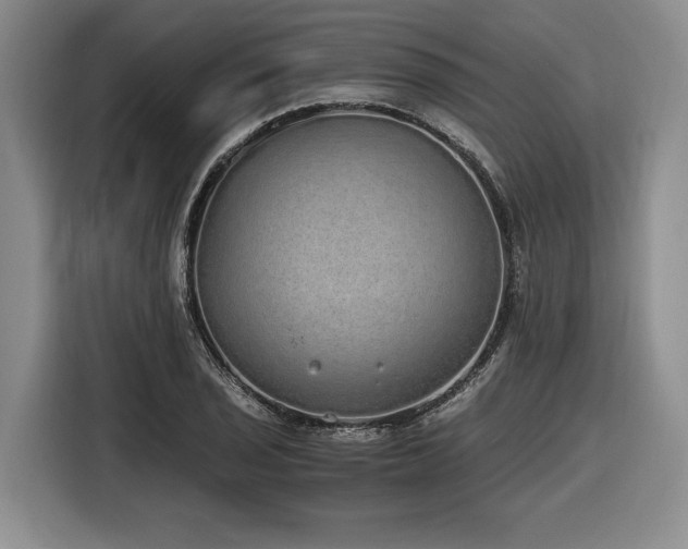 X0000116861029200912221134