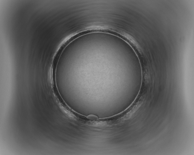 X0000116861030200912221134