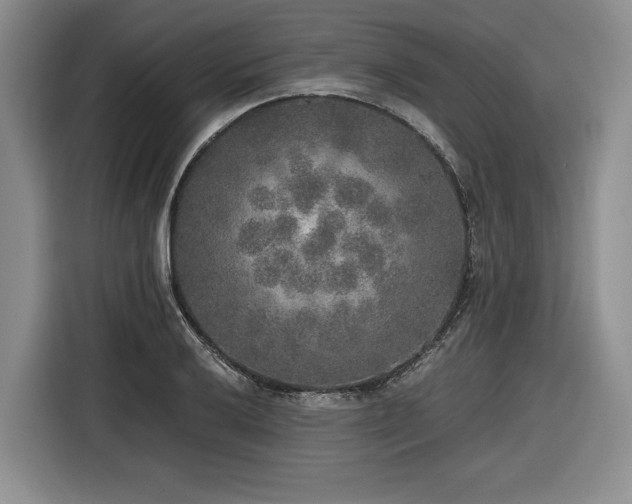 X0000116861032200912221134