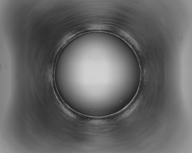 X0000116861033200912221134