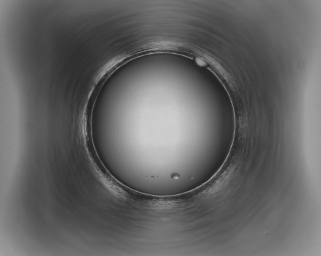 X0000116861034200912221134