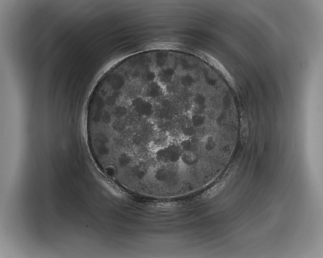 X0000116861035200912221134