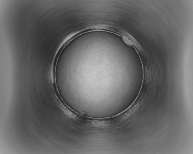 X0000116861036200912221134