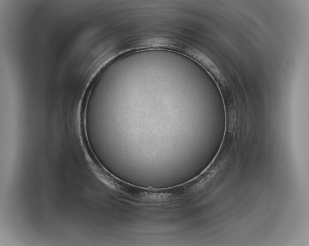 X0000116861039200912221134
