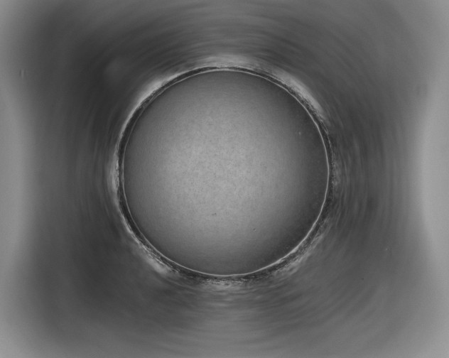 X0000116861040200912221134