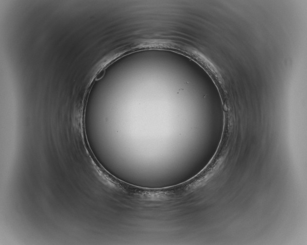 X0000116861041200912221134