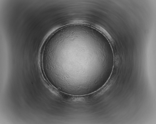 X0000116861043200912221134