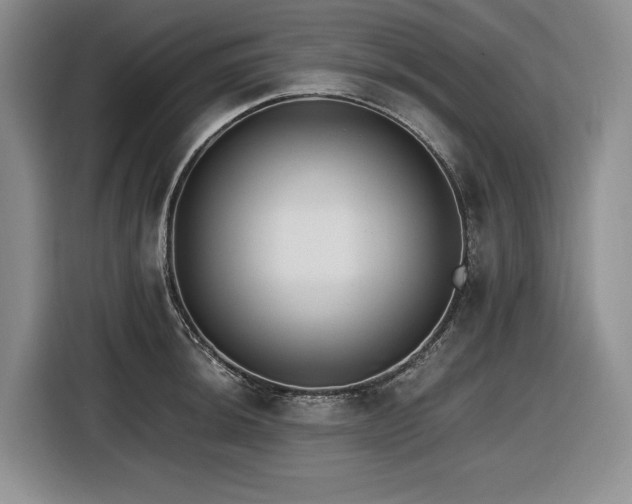 X0000116861044200912221134