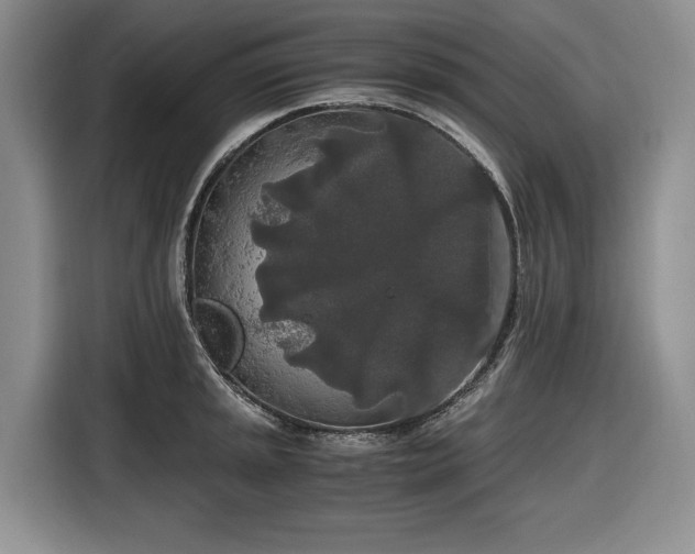 X0000116861045200912221135