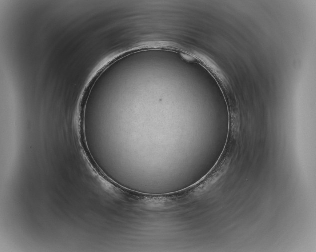 X0000116861046200912221135