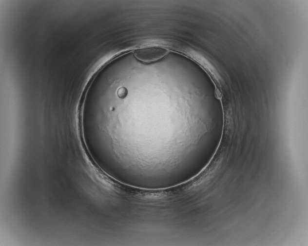 X0000116861047200912221135