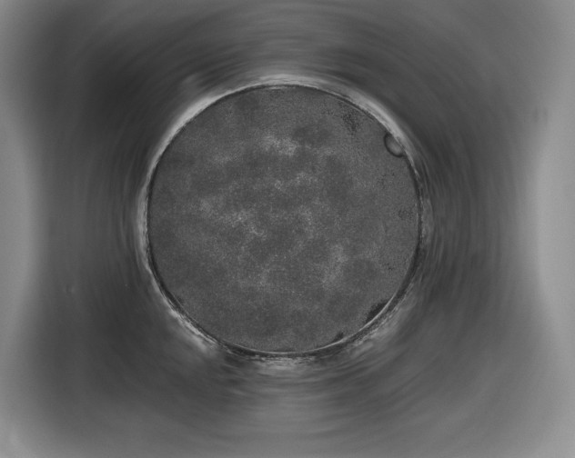X0000116861048200912221135