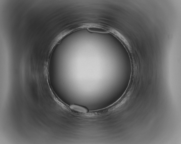 X0000116861049200912221135