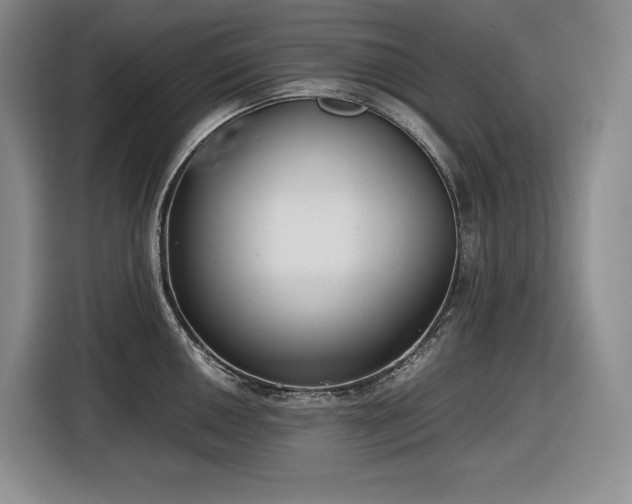 X0000116861050200912221135