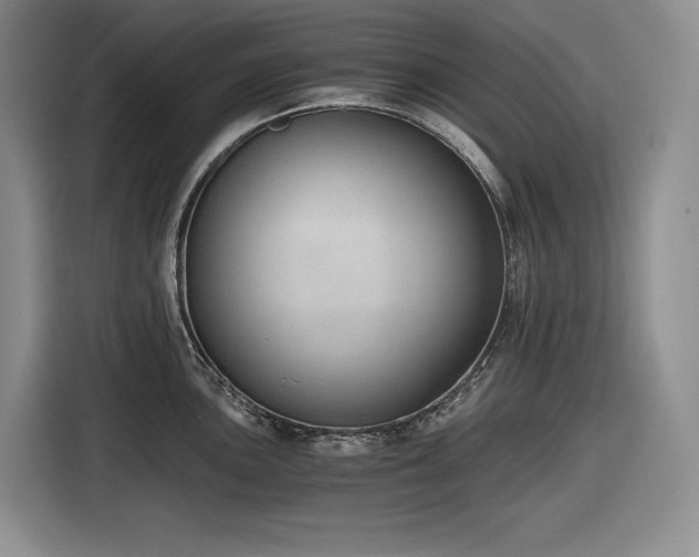 X0000116861051200912221135