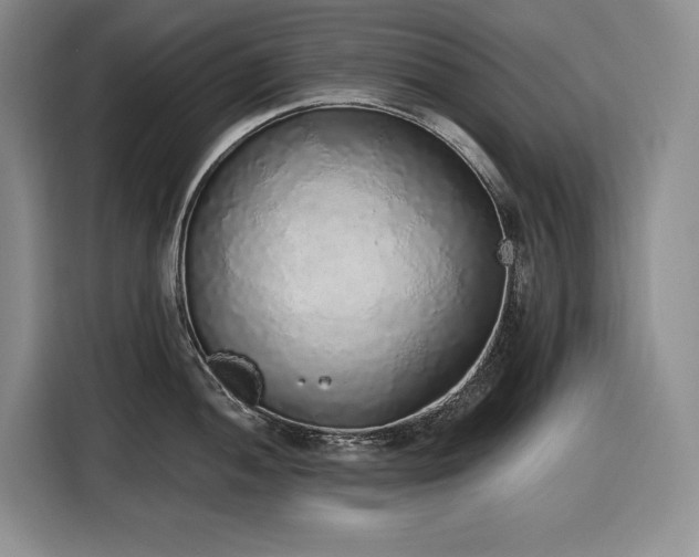 X0000116861052200912221135