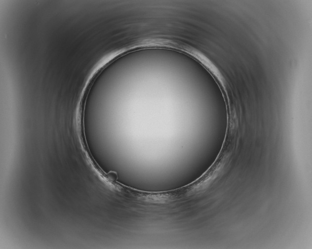 X0000116861053200912221135