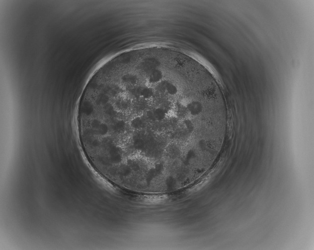 X0000116861055200912221135