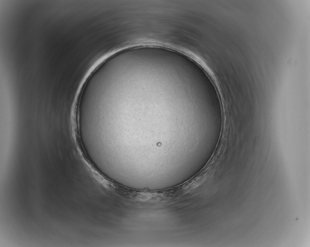 X0000116861056200912221135