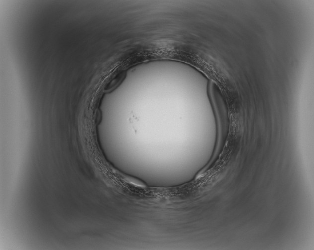 X0000116861057200912221134