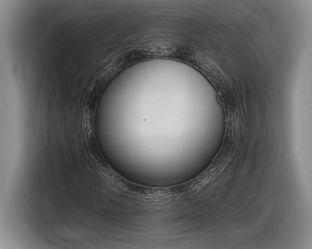 X0000116861058200912221134