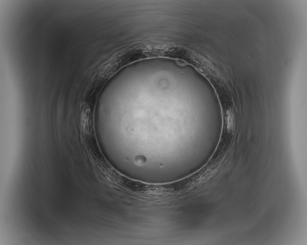 X0000116861059200912221134