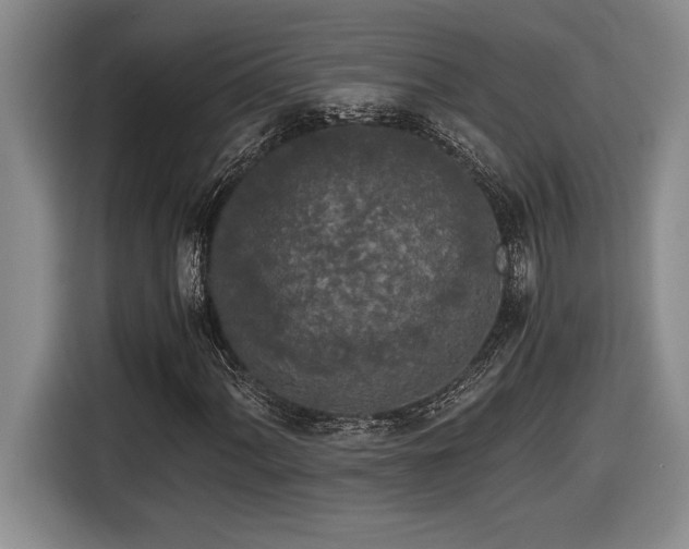 X0000116861060200912221134