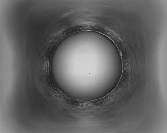 X0000116861061200912221134