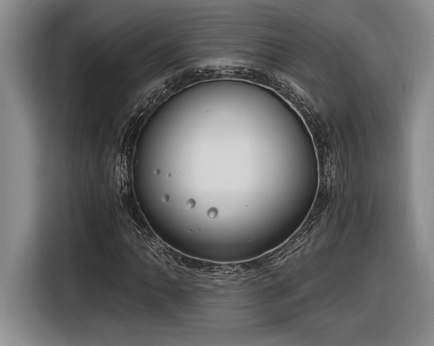 X0000116861062200912221134