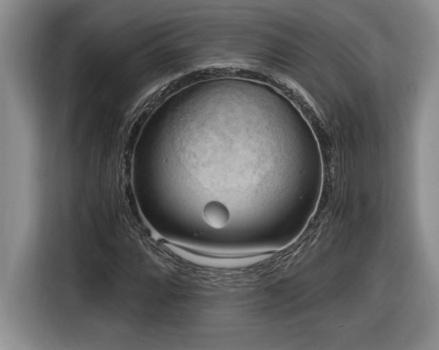 X0000116861064200912221134