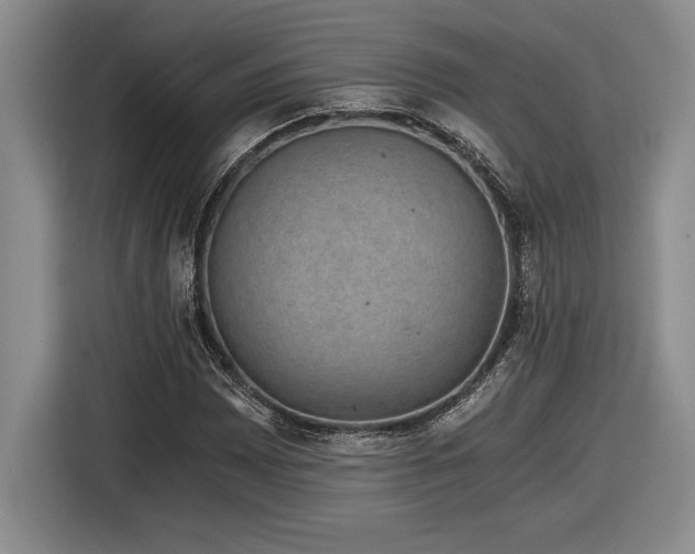 X0000116861065200912221134
