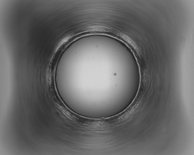 X0000116861067200912221134