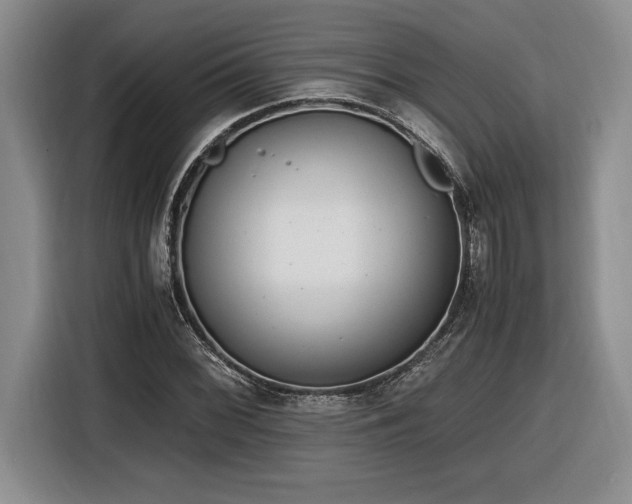 X0000116861068200912221134