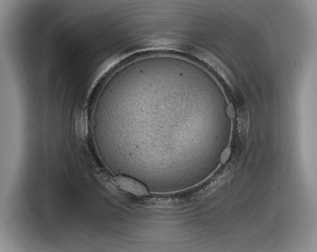 X0000116861069200912221134