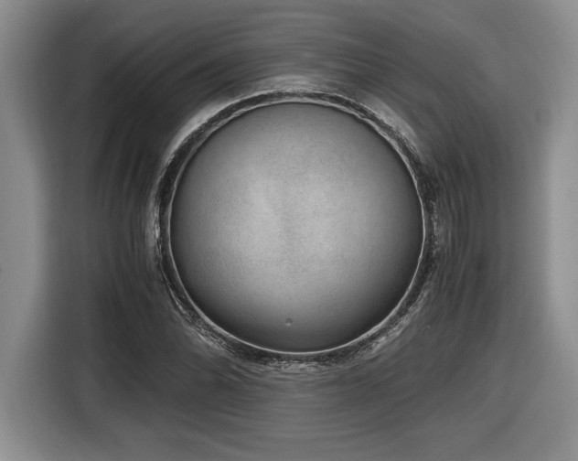 X0000116861070200912221134