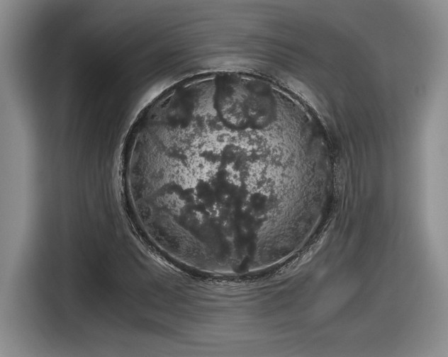 X0000116861071200912221134